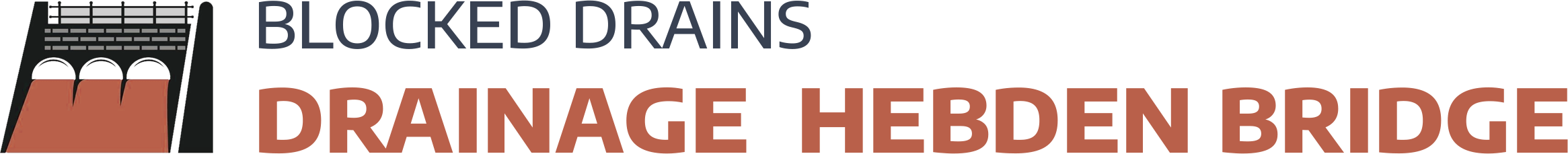 website logo